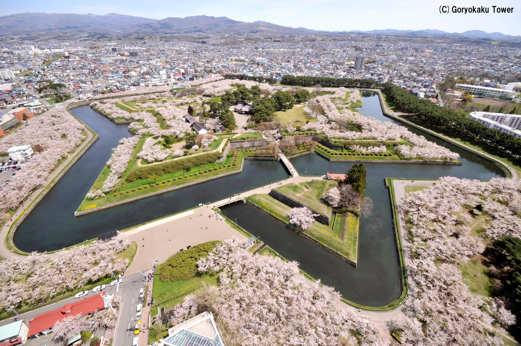 五稜郭公園(函館市)