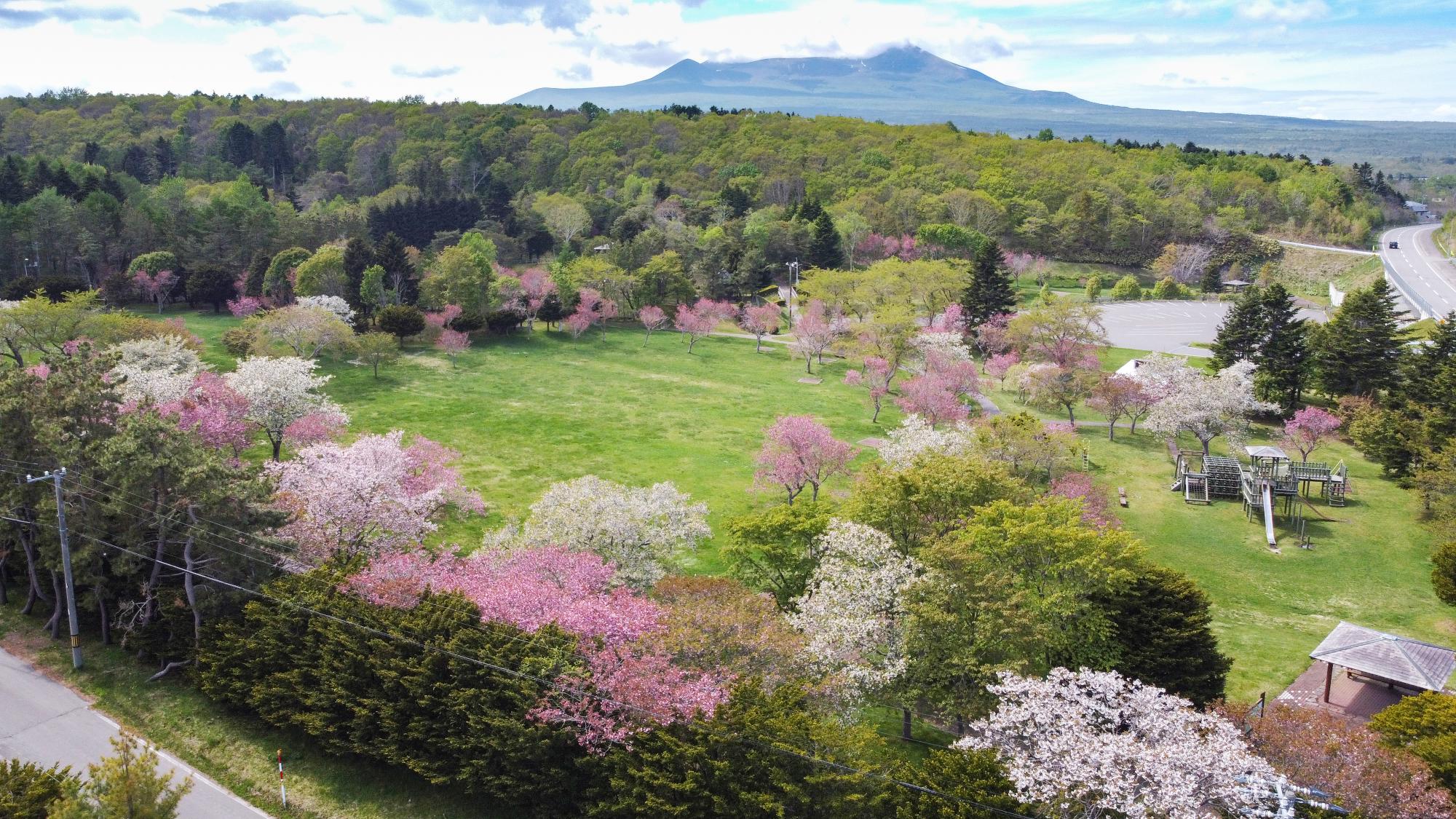 鹿部公園