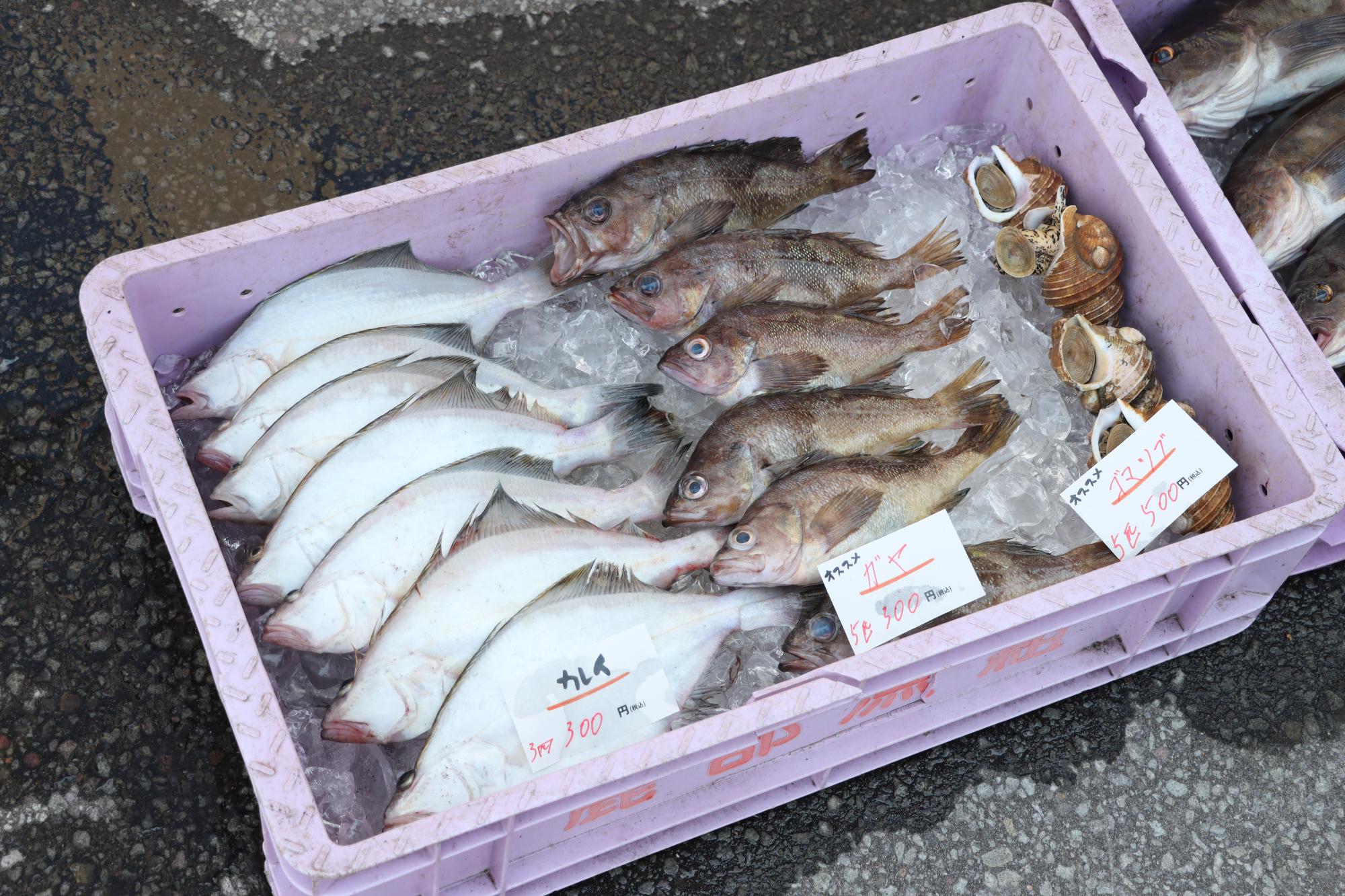 海産物の激安販売