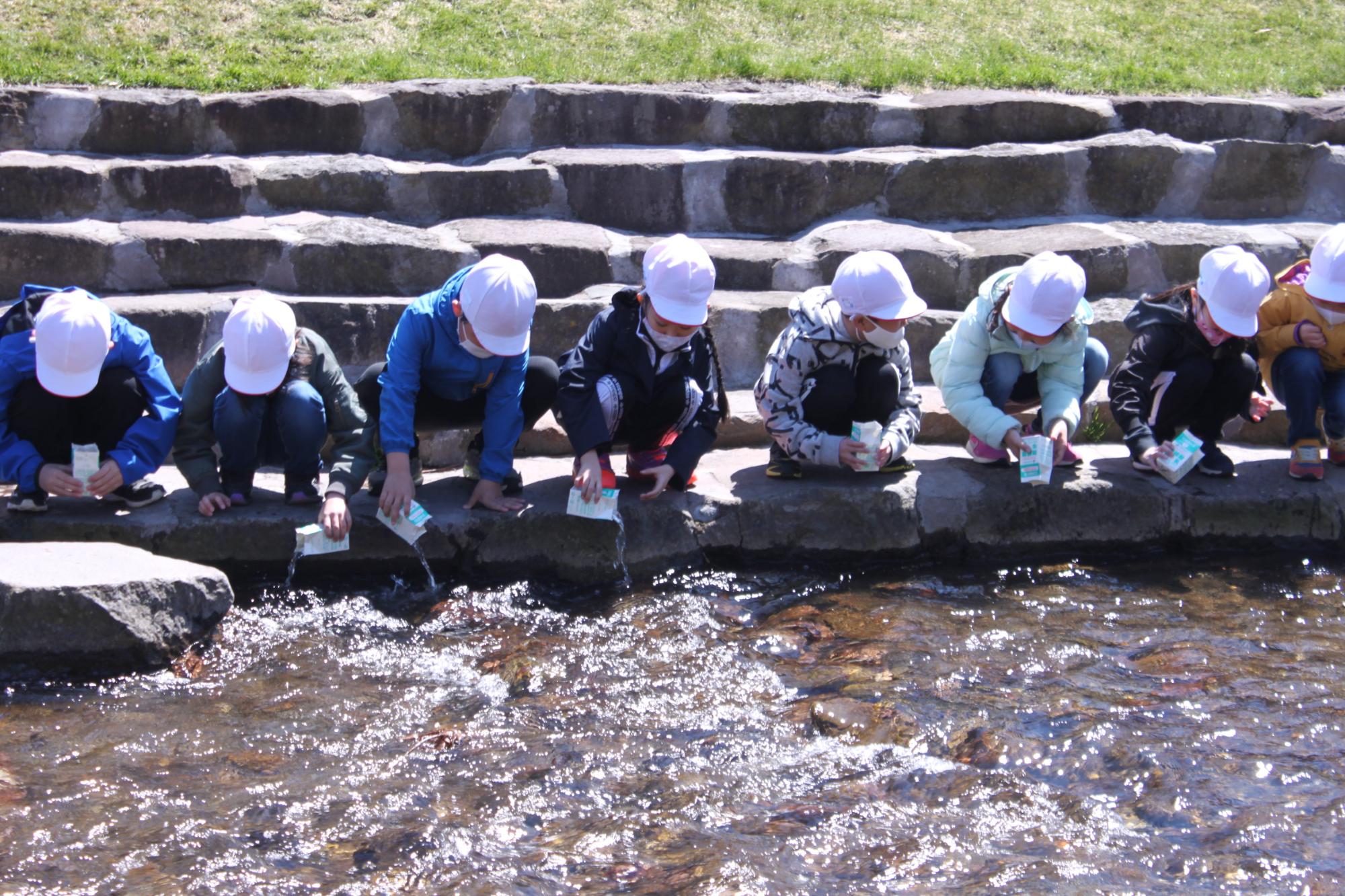 さけの稚魚を川へ放流