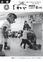 hyoshi