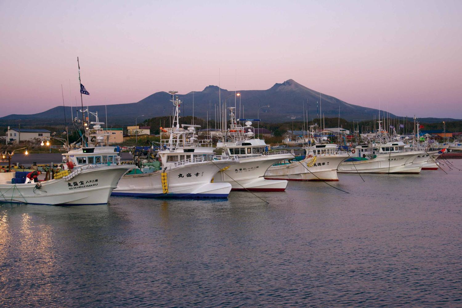 漁港と駒ヶ岳